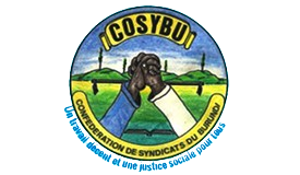 logo-COSYBU-MEMBRE-01-removebg-preview (1)